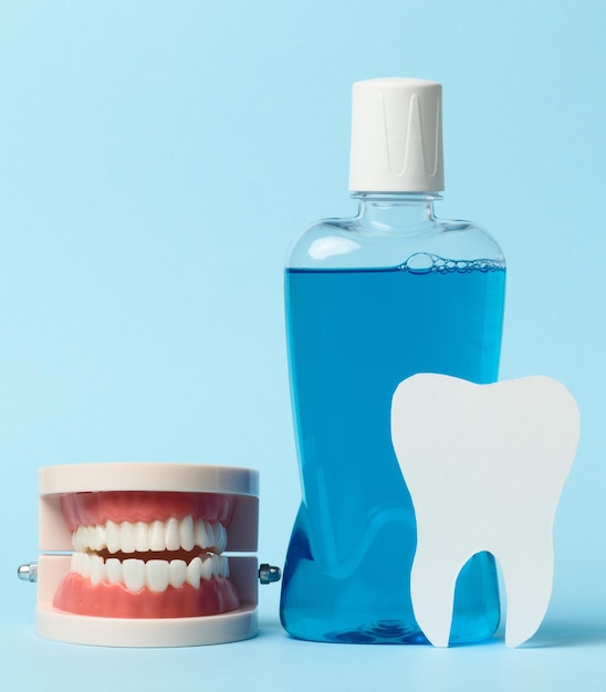 Human jaw model mouthwash on blue background oral hygiene