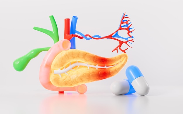 Photo human pancreas gall bladder organ model pancreatitis and drug therapy 3d rendering