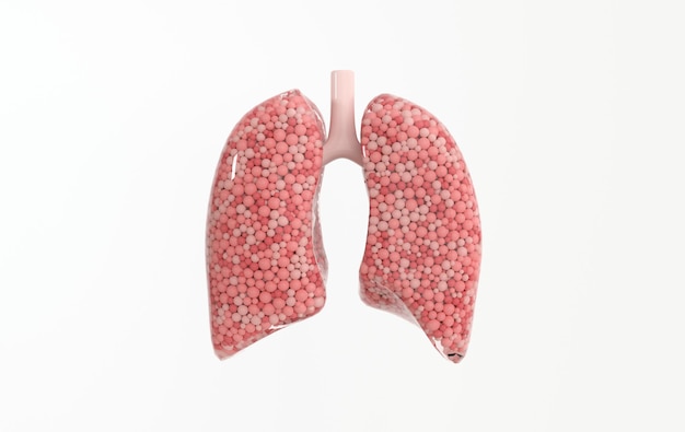 Human respiratory system .Healthy lungs World Tuberculosis day lung cancer day 3d rendering