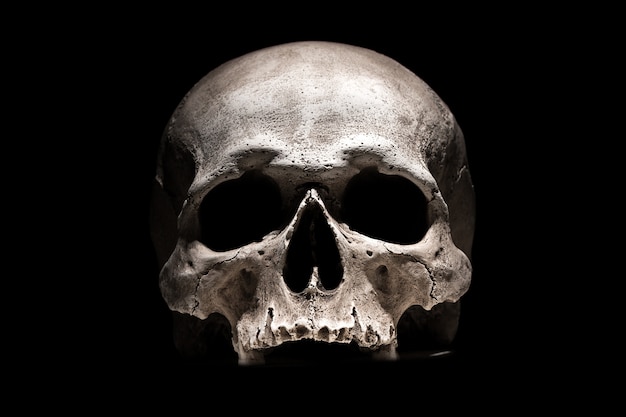 Human skull on black 