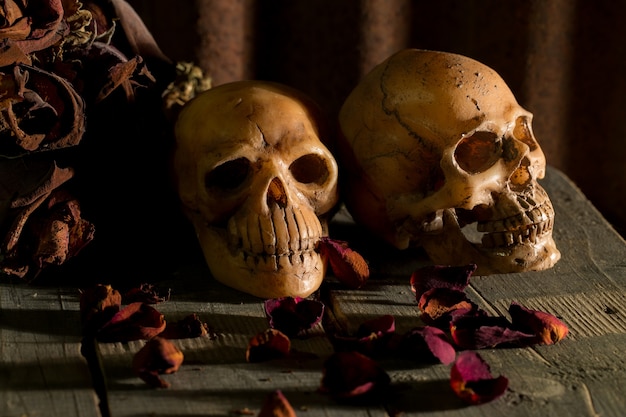 Human skull and dry flowers on old wood background ; still-life