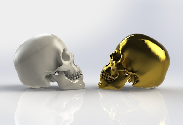 Human skull on isolated white background