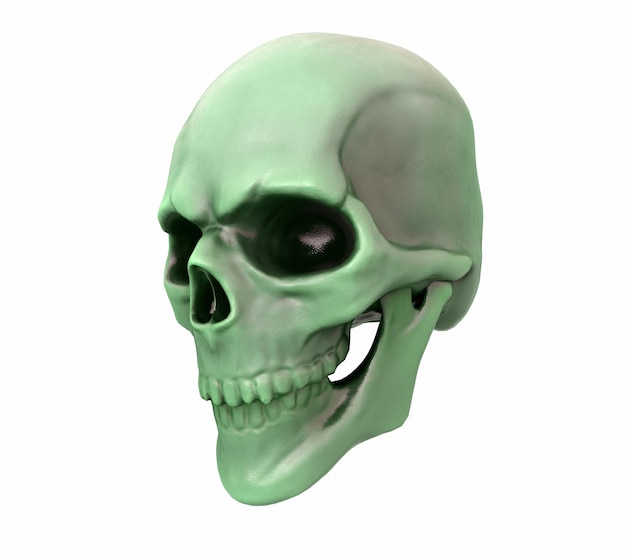 Human skull on Rich Colors a white background The concept of death horror A symbol of spooky Halloween 3d render illustration