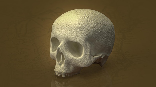 The human skull on vintage map for education or sci concept 3d rendering