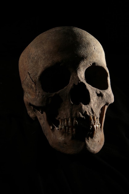 Human skull with black background