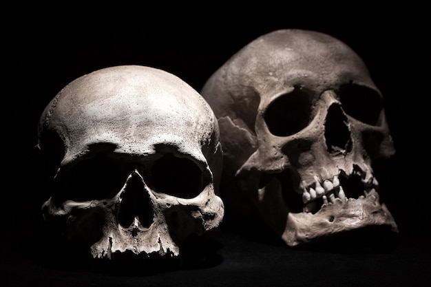 Human skulls on a black .