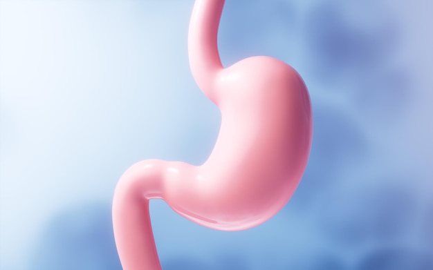 Photo human stomach with blue background 3d rendering