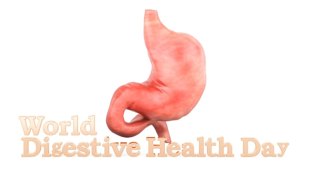 Human stomach with text World Digestive Health Day 3D rendering