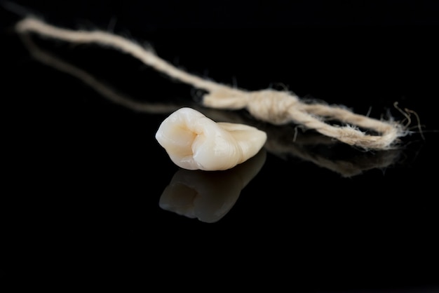 Human tooth after extraction with roots tied with a thread on a black background