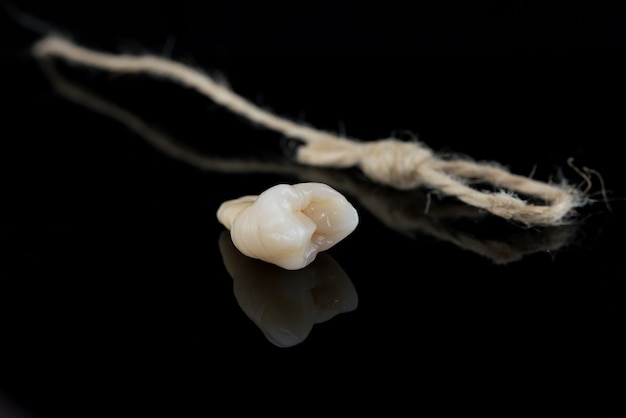 Human tooth after extraction with roots tied with a thread on black