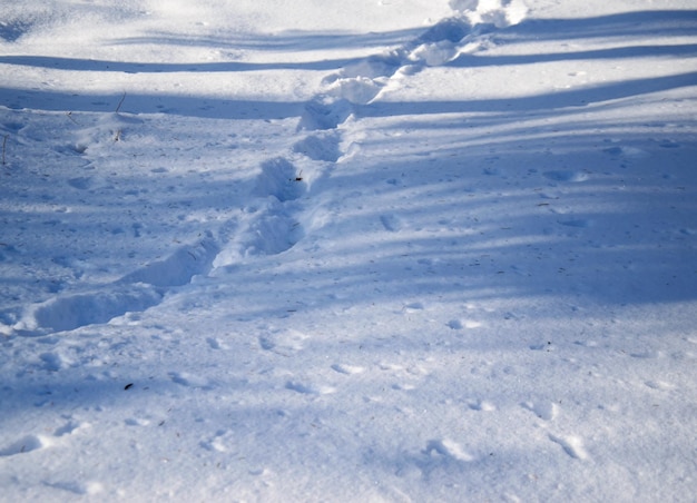 Human tracks on a white snow