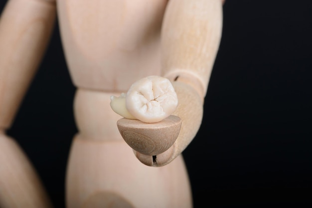 Human wooden figure holds in hand extracted human tooth on a black background