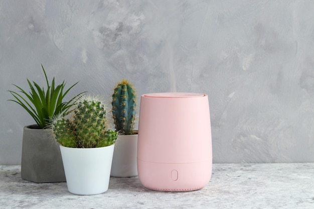 Humidifier turned on the table against gray wall with succulent plants Comfortable living conditions