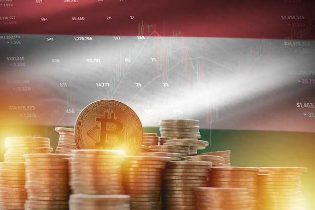 Hungary flag and big amount of golden bitcoin coins and trading platform chart Crypto currency