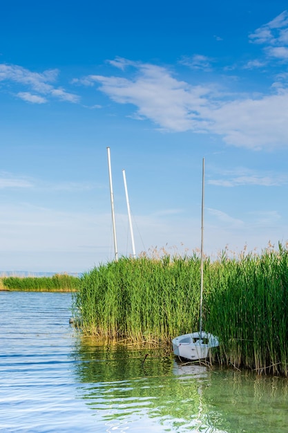 Hungary lake Balaton beautiful summer landscape with boats on the water