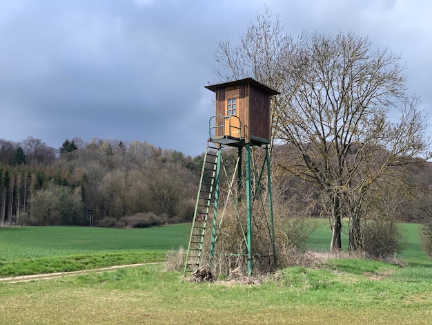 Photo hunters perch on field against sky