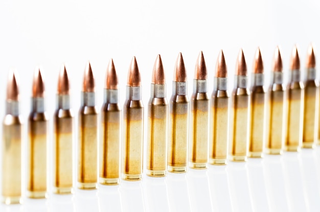 Hunting cartridges of caliber. 308 Win