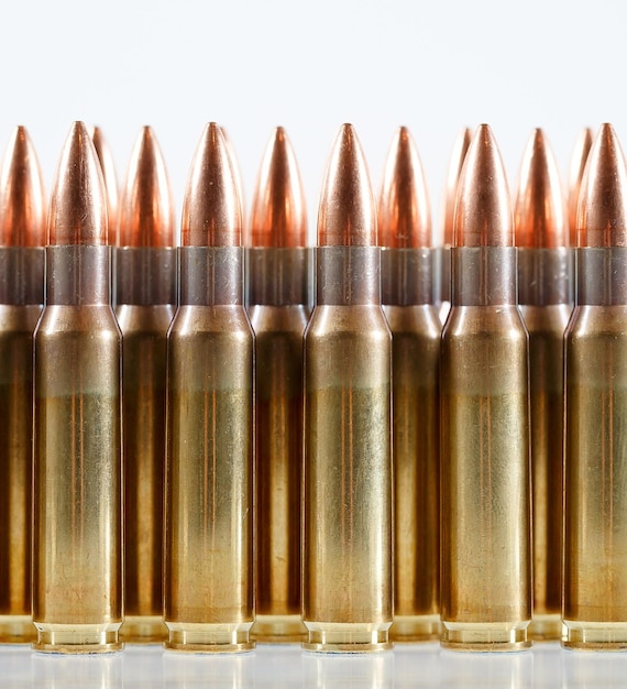 Hunting cartridges of caliber. 308 Win