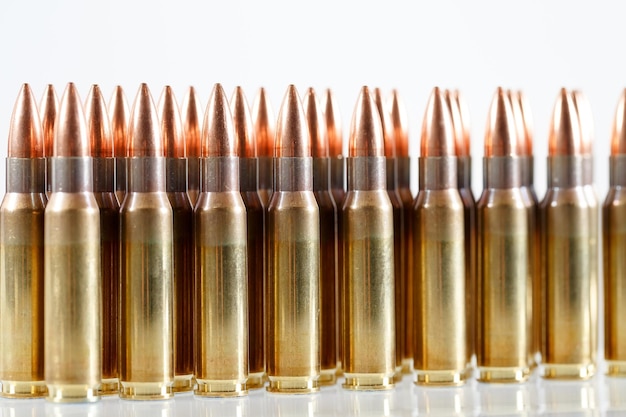 Hunting cartridges of caliber. 308 Win