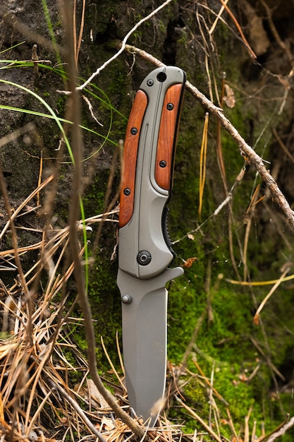 Photo hunting knife in the forest on a background of green moss