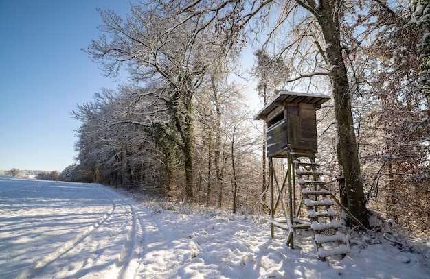 Hunting tower at the edge of the winter forest