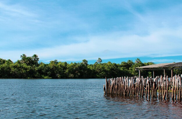 Hut on the river