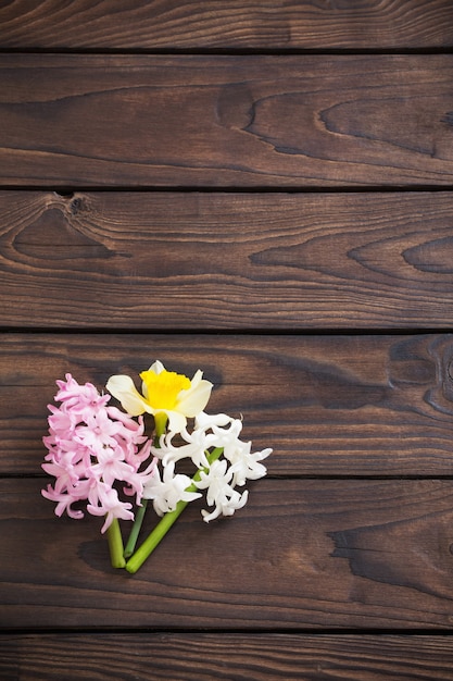 Hyacinth flowers on dark wooden