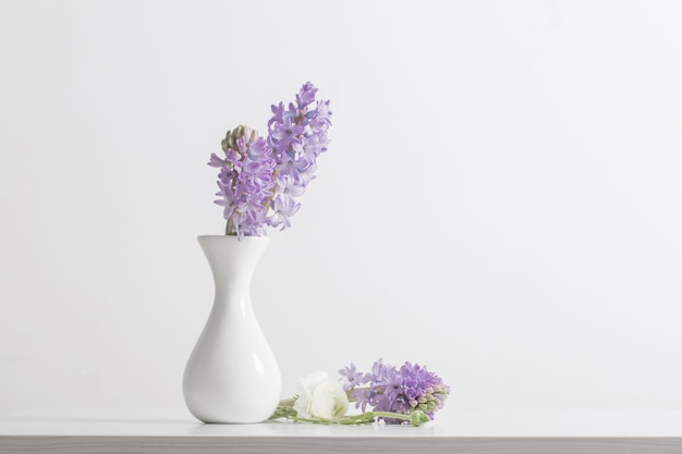 Hyacinth in a vase on white background