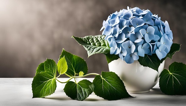 Photo hydrangea with ivy