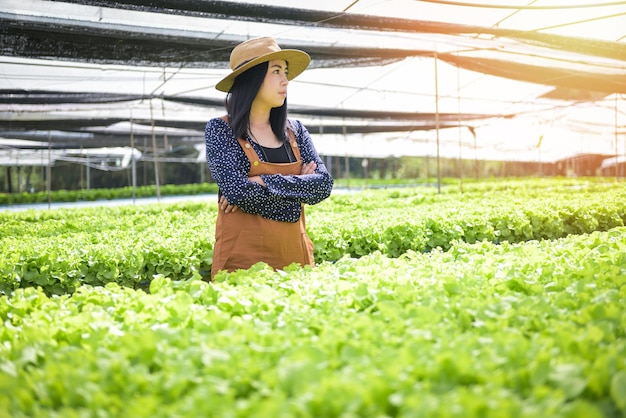 Hydroponic vegetables harvested from hydroponic farms fresh green oak salad growing in the garden woman gardener and hydroponic plants on water without soil agriculture organic health food nature