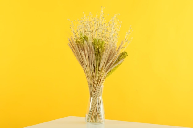 Hygge concept dried flowers against yellow background