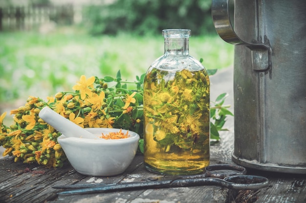 Hypericum St Johns wort plants oil or infusion transparent bottle mortar on wooden table