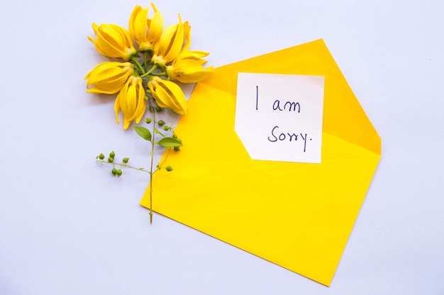 i am sorry message card handwriting with ylang ylang flowers