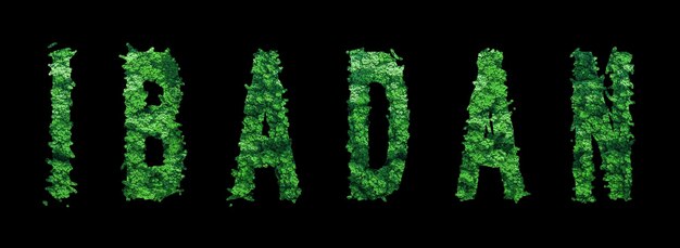 Ibadan lettering Ibadan Forest Ecology Concept