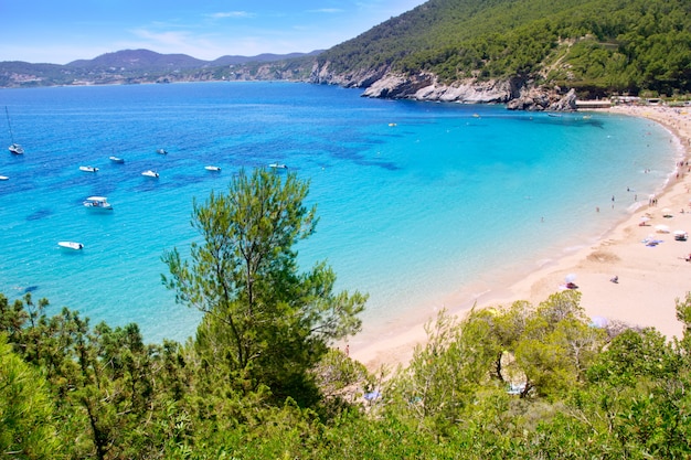 Ibiza Cala de Sant Vicent caleta de san vicente