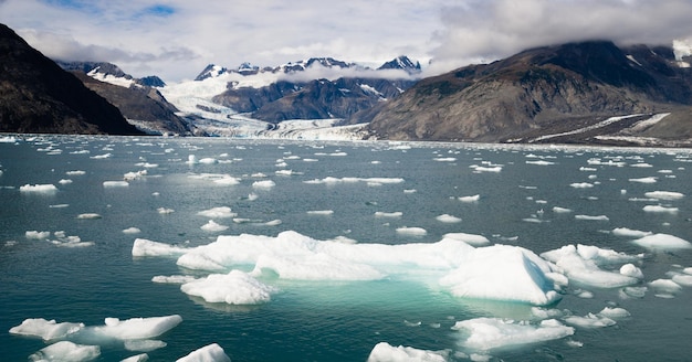 Ice Chunks Dwarfed by Mountains Aialik Glacier Alaska Kenia Fjords