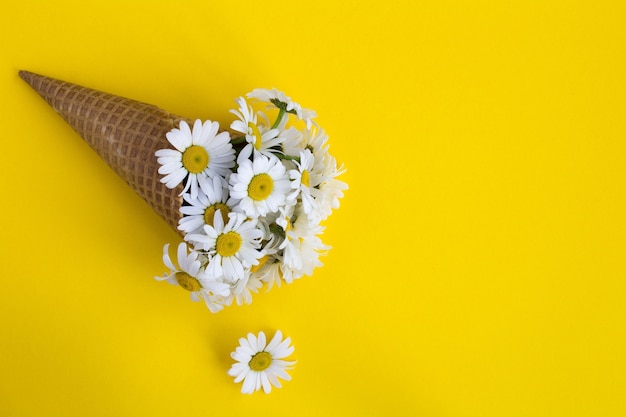 Ice cream cone with chamomiles on yellow