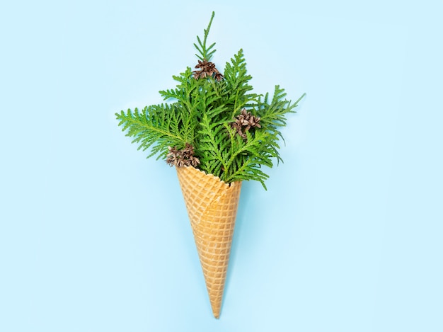 Ice cream cone with thuja sprigs.