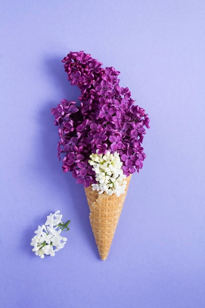 Ice cream cone with white and purple lilac on the violet background Location vertical