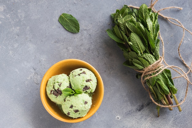 Ice cream with mint and chocolate chip