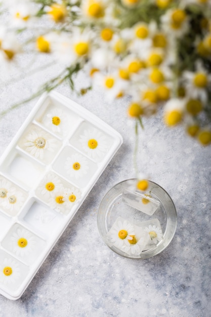 Ice cubes with chamomile flowers inside