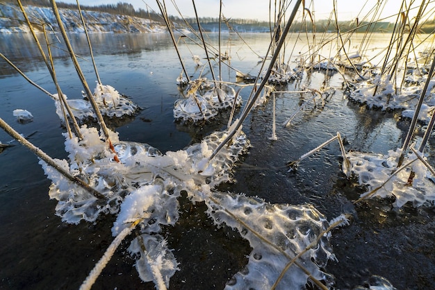 Ice figures of water in the reed bushes on the shore of the reservoir