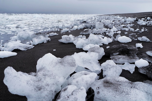 Photo ice rocks laying on beach with black sand