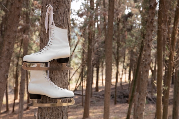 Ice skates outdoors still life