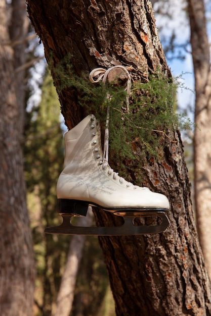 Ice skates outdoors still life