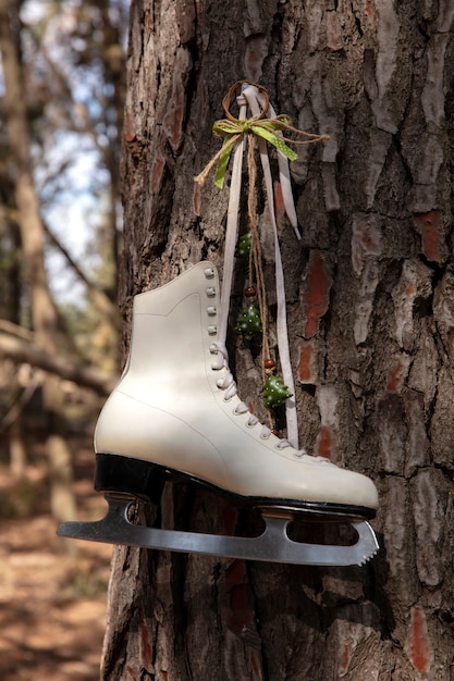 Ice skates outdoors still life