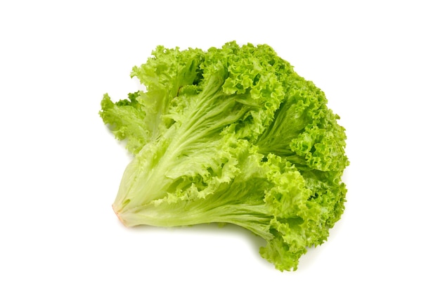 Iceberg lettuce isolated on white background.