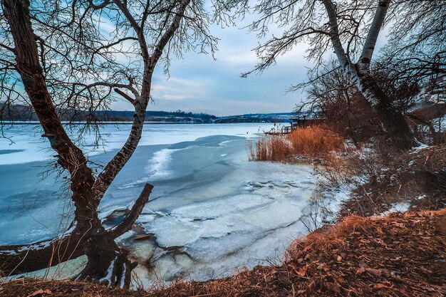 Icecovered river bank in winter in cloudy weather