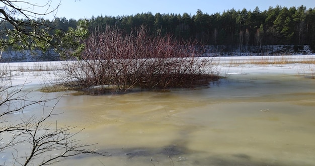 the icecovered surface of the river in the winter season