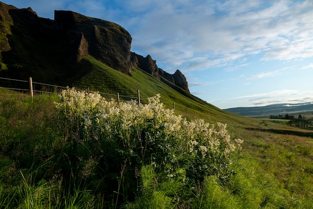 Iceland landscape of beautiful plains